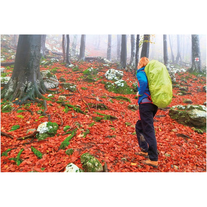 MP2516690-funda-protectora-lluvia-verde-fluorescente-2.jpg