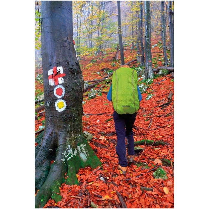 MP2516690-funda-protectora-lluvia-verde-fluorescente-3.jpg