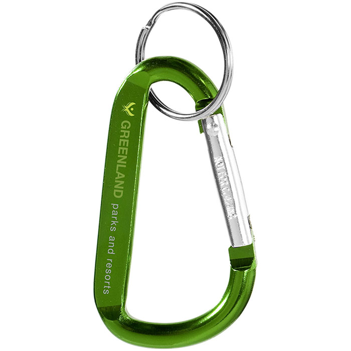 MP2657560-llavero-con-mosqueton-verde-2.jpg