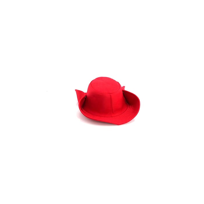 MP2828270-sombrero-rojo-6.jpg
