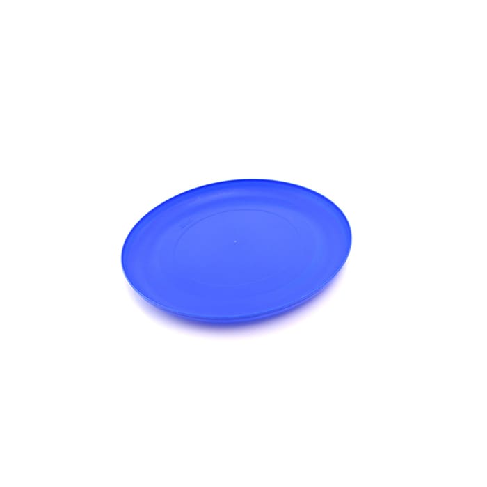 MP2829250-frisbee-azul-4.jpg