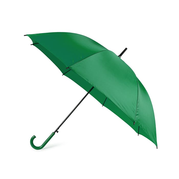 MP2833990-paraguas-verde-1.jpg