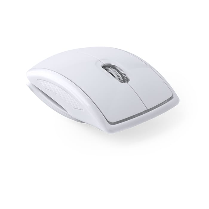 MP2888660-raton-blanco-1.jpg