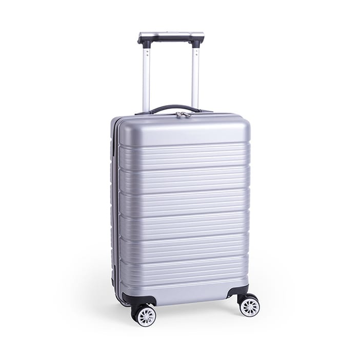 MP2890270-trolley-gris-1.jpg