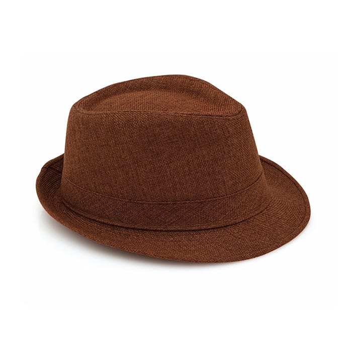 MP2897470-sombrero-marron-1.jpg
