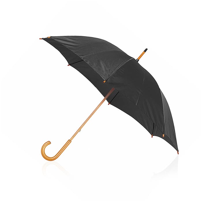 MP2906450-paraguas-negro-1.jpg