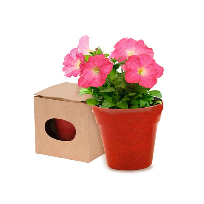 MP2914530-maceta-rojo-1.jpg