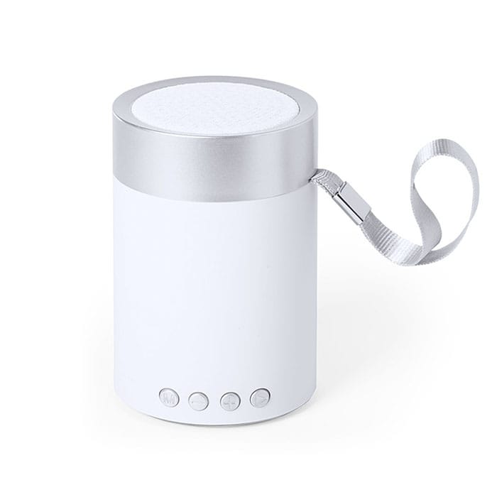 MP2924960-altavoz-plateado-1.jpg