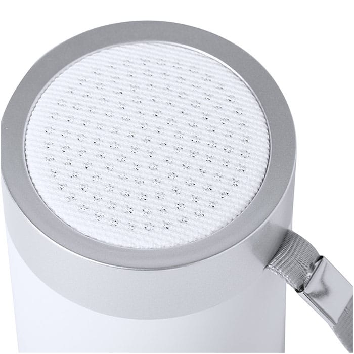 MP2924960-altavoz-plateado-2.jpg