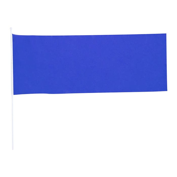 MP2929220-banderin-azul-1.jpg