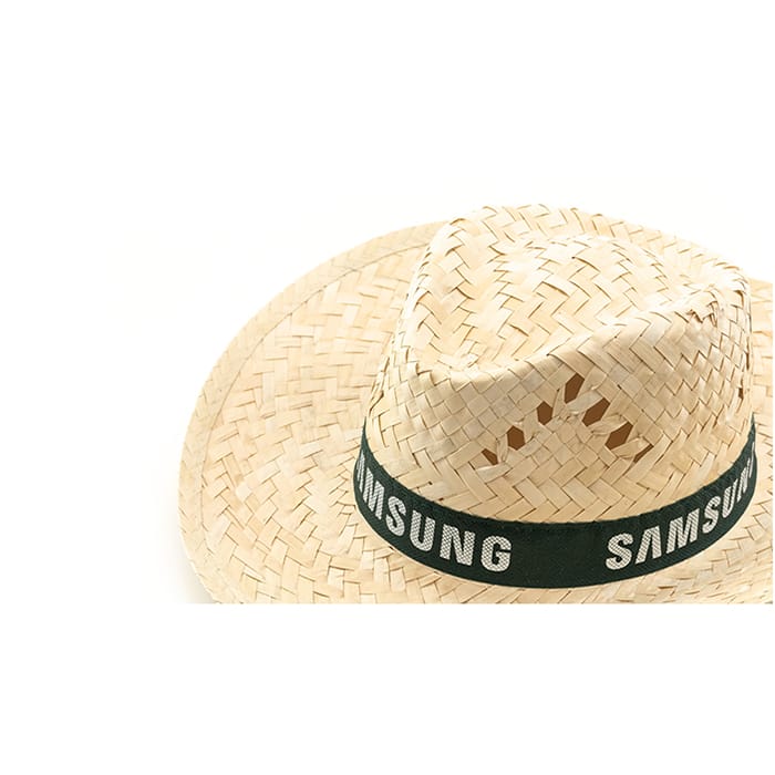 MP2933630-sombrero--2.jpg