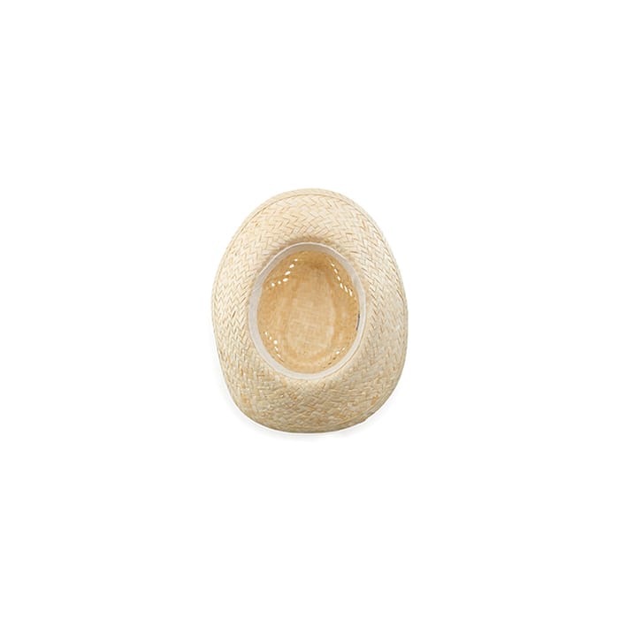 MP2933630-sombrero--3.jpg