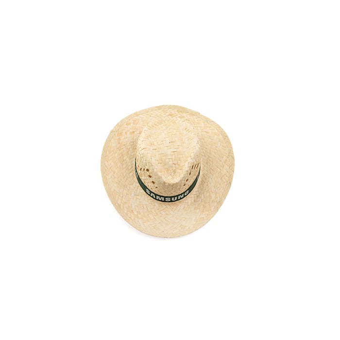 MP2933630-sombrero--5.jpg
