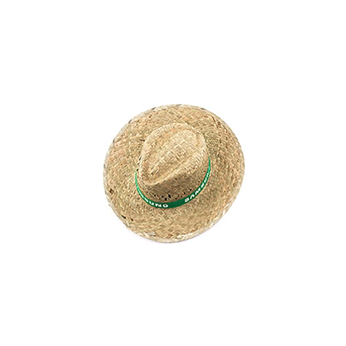 MP2933640-sombrero--2.jpg