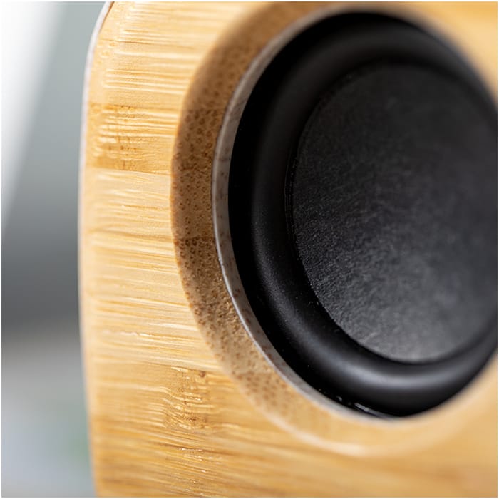 MP3168230-altavoz-natural-1.jpg