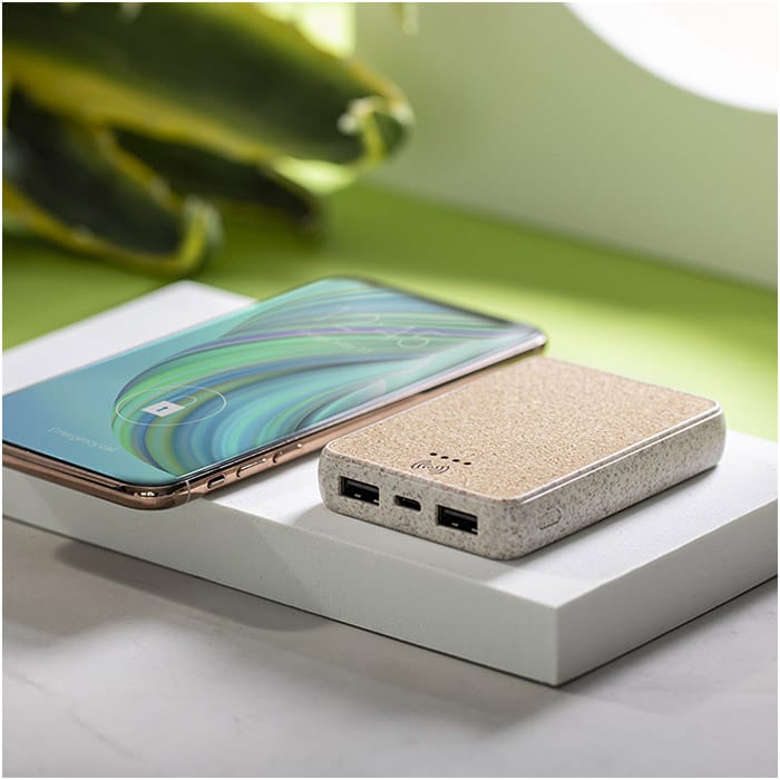 MP3169170-power-bank--5.jpg
