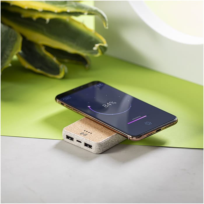 MP3169170-power-bank--7.jpg