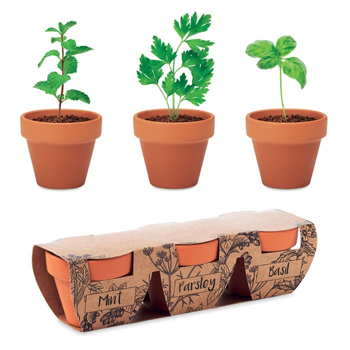 MP3186880-juego-de-macetas-de-terracota-madera-1.jpg