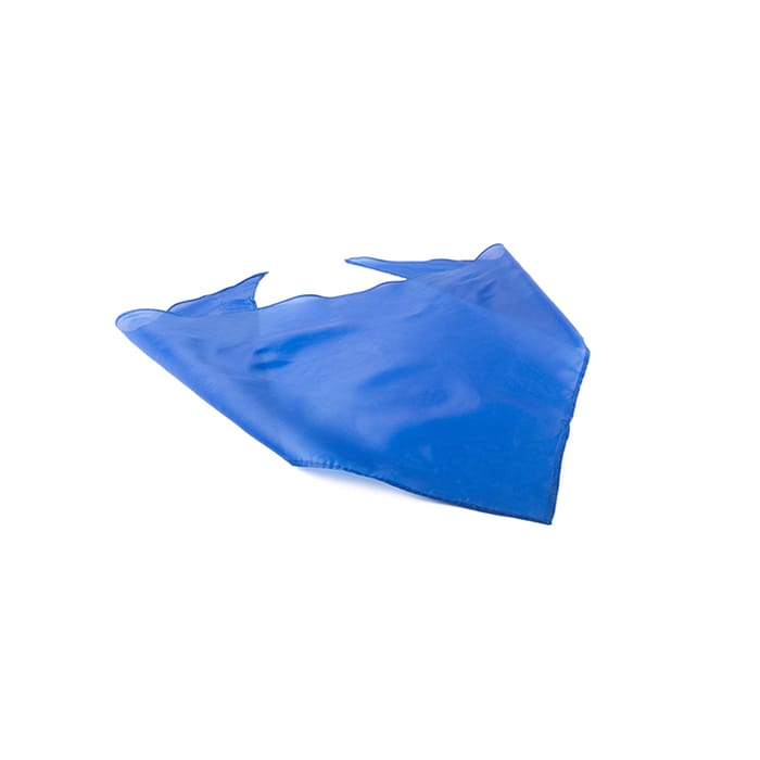 MP2782120-paoleta-azul-3.jpg