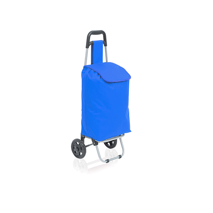 MP2786790-carro-compra-azul-1.jpg