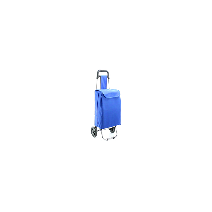 MP2786790-carro-compra-azul-2.jpg