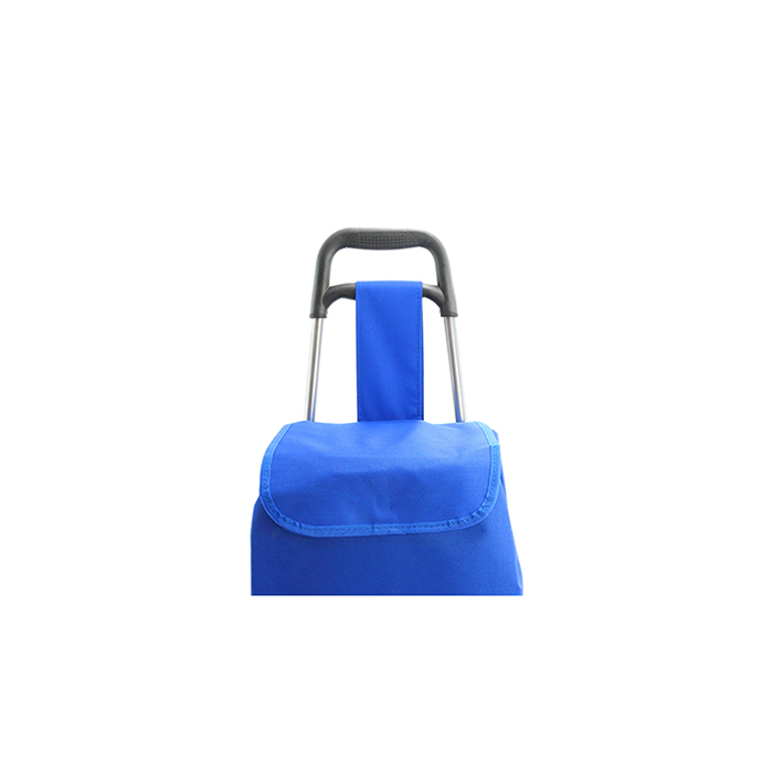 MP2786790-carro-compra-azul-3.jpg