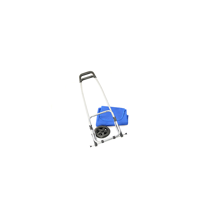MP2786790-carro-compra-azul-5.jpg