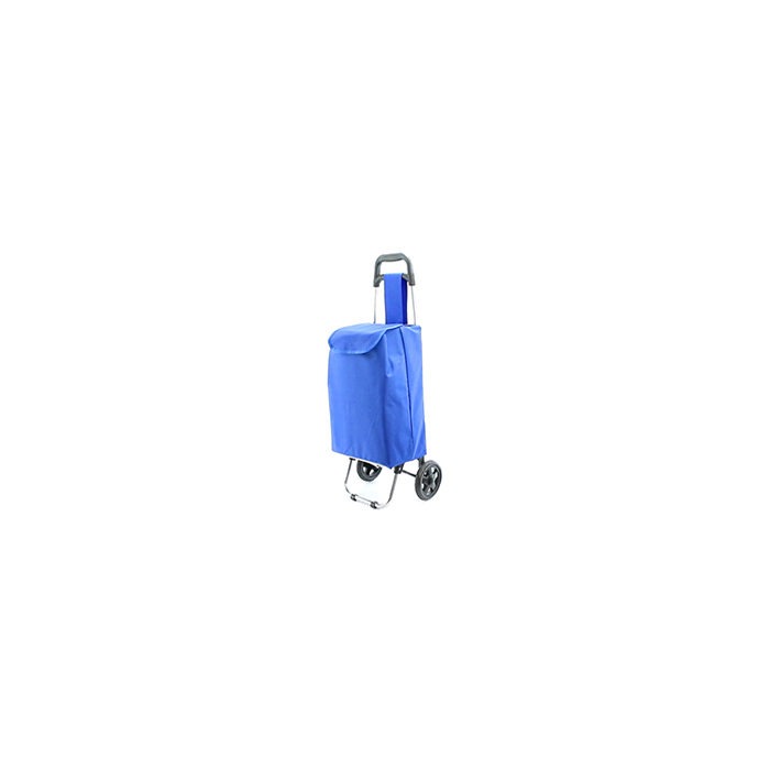 MP2786790-carro-compra-azul-6.jpg