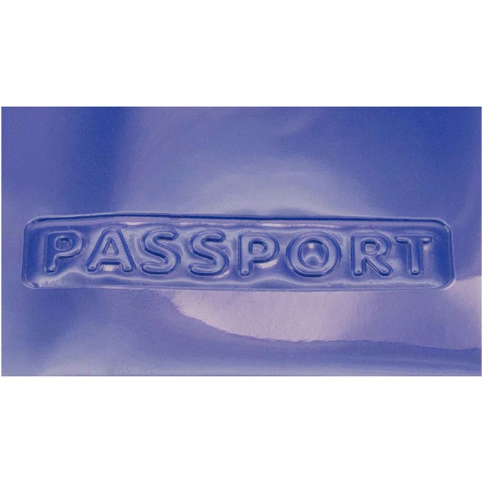 MP2804710-funda-pasaporte-azul-5.jpg